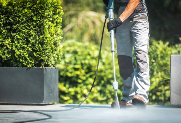 Best Pool Deck Cleaning  in St Leon, IN