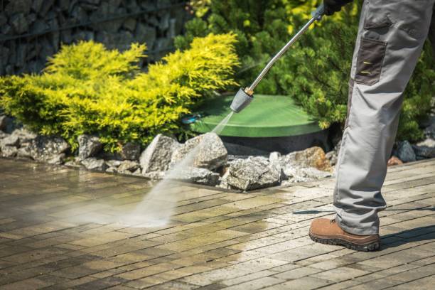 Best Winterizing Services  in St Leon, IN