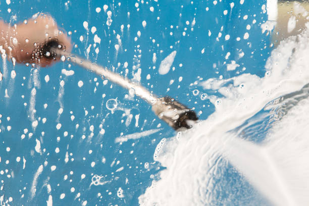 Best Animal Enclosure Cleaning  in St Leon, IN