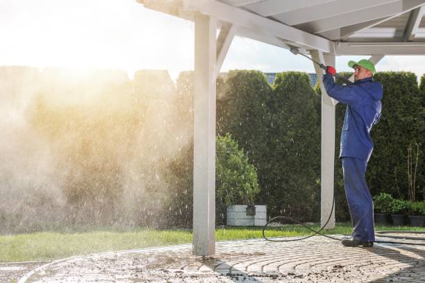 Best Roof Washing  in St Leon, IN