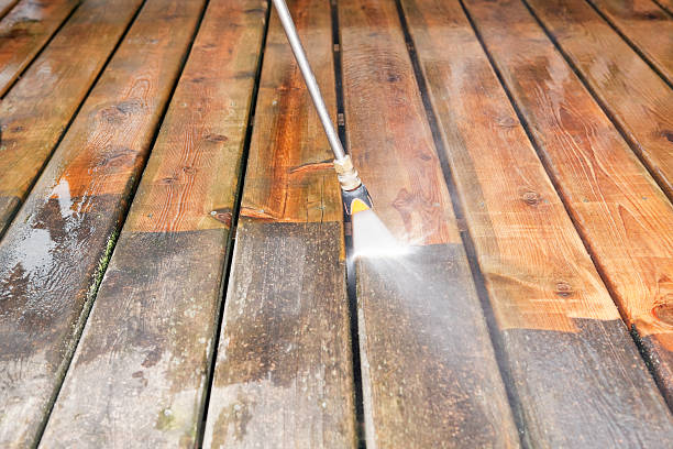 Best Fence Cleaning  in St Leon, IN